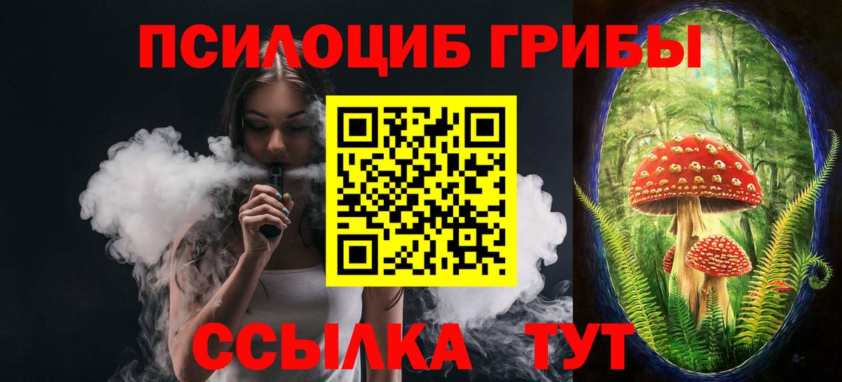 купить наркотики цена  Вход с VPN  Якутск  Псилоцибиновые грибы мицелий 